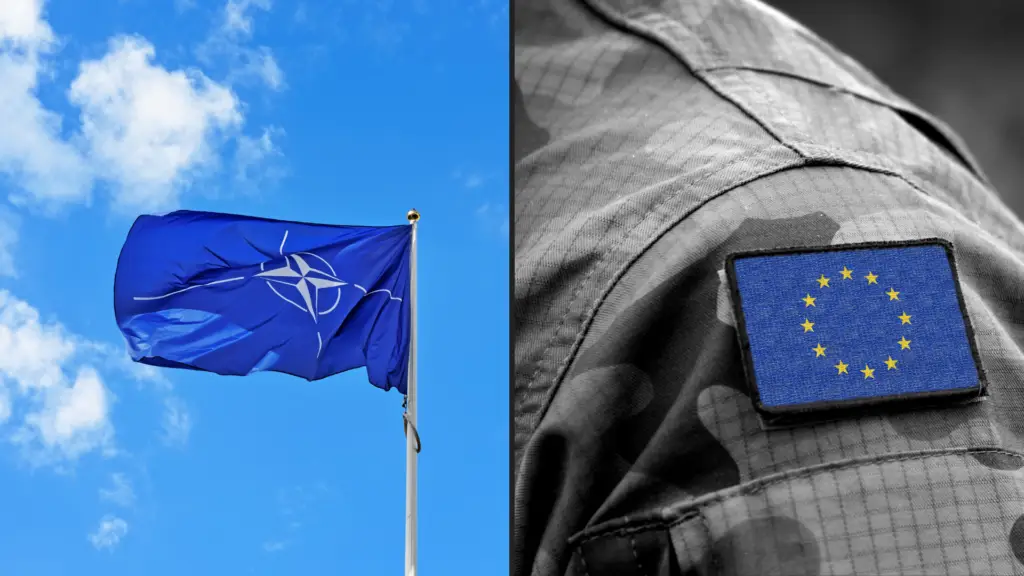 eu (11)